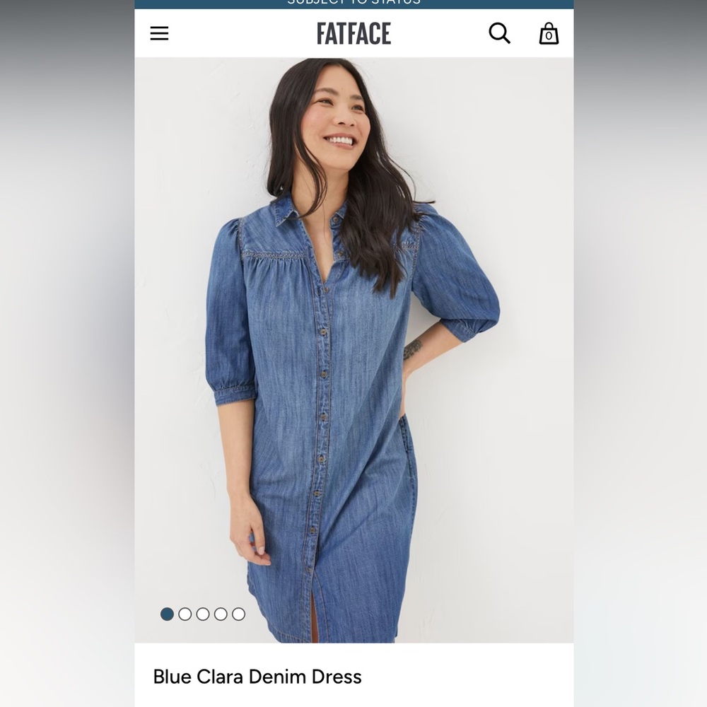 Fat Face Clara Denim Dress size 4